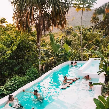 The Valley Tayrona Hostel- A Social Jungle Hostel El Zaino Exteriör bild