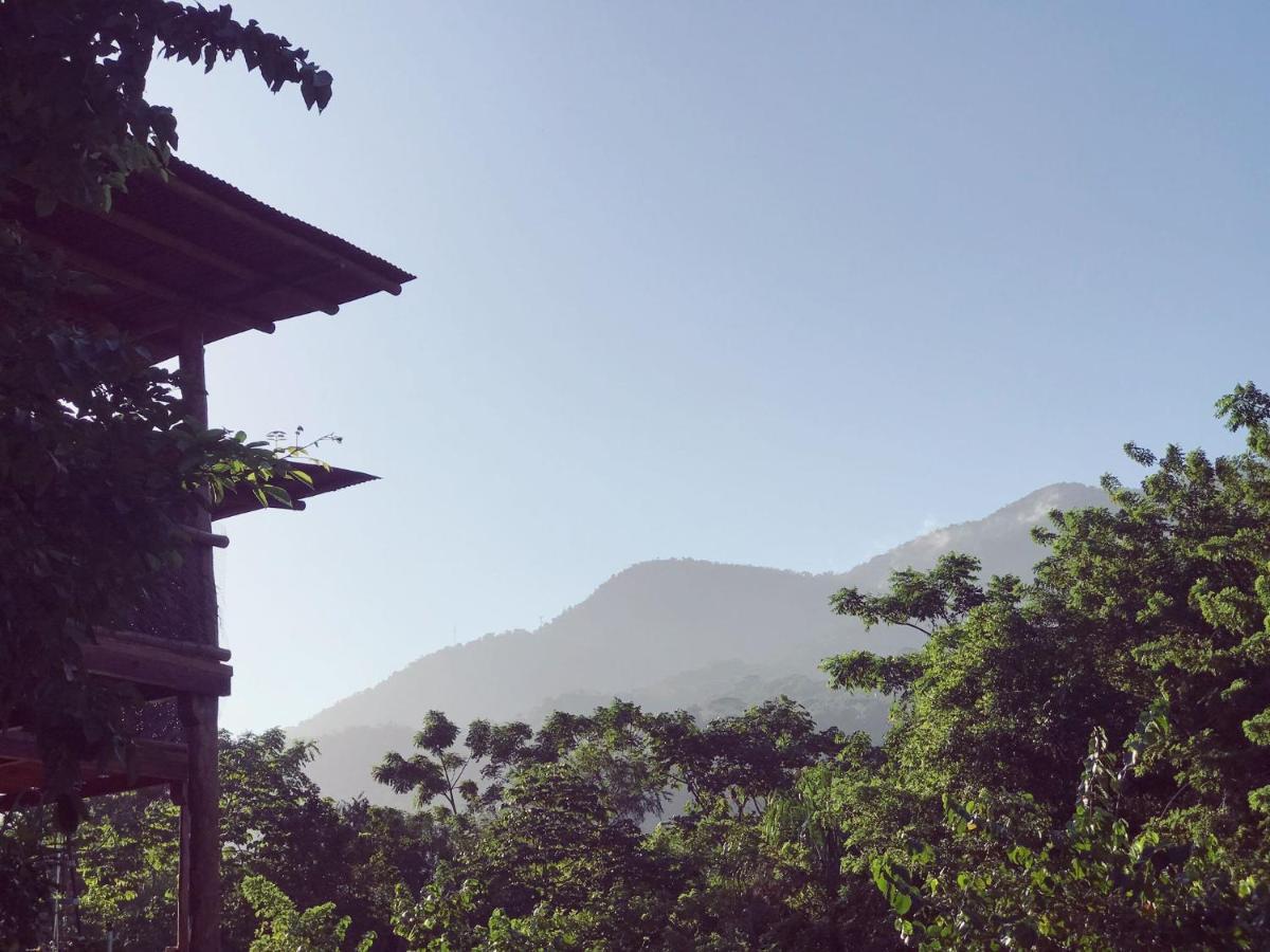 The Valley Tayrona Hostel- A Social Jungle Hostel El Zaino Exteriör bild