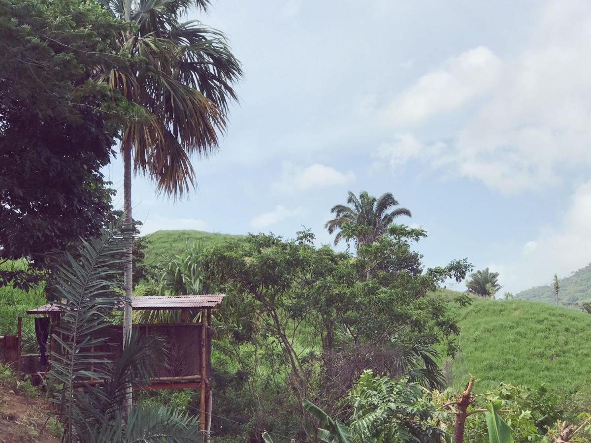 The Valley Tayrona Hostel- A Social Jungle Hostel El Zaino Exteriör bild