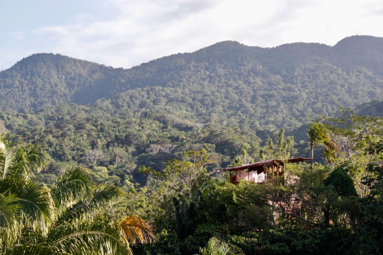 The Valley Tayrona Hostel- A Social Jungle Hostel El Zaino Exteriör bild