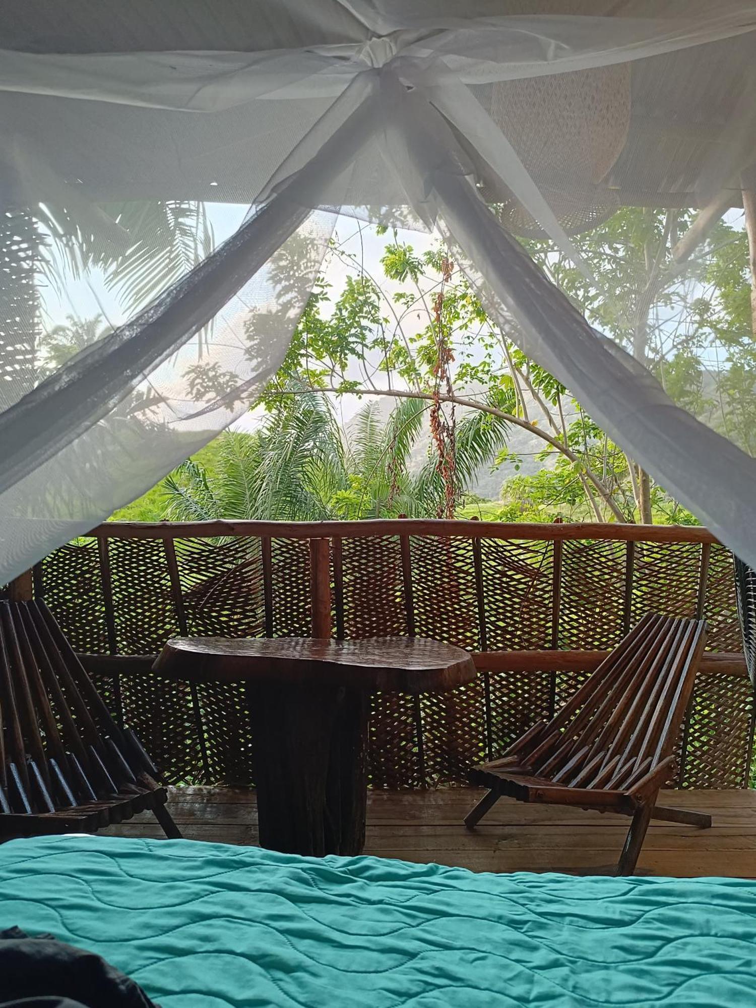 The Valley Tayrona Hostel- A Social Jungle Hostel El Zaino Exteriör bild