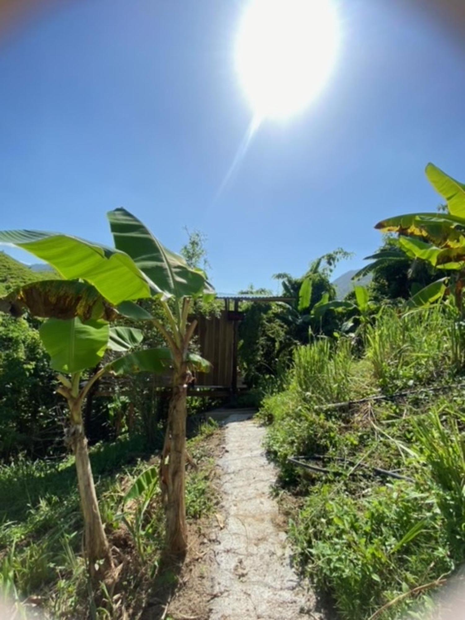 The Valley Tayrona Hostel- A Social Jungle Hostel El Zaino Exteriör bild