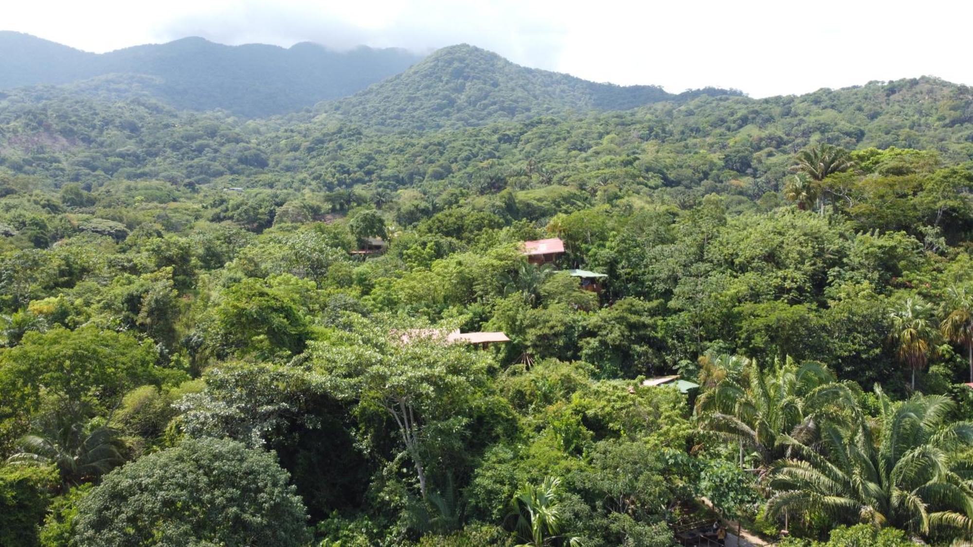 The Valley Tayrona Hostel- A Social Jungle Hostel El Zaino Exteriör bild