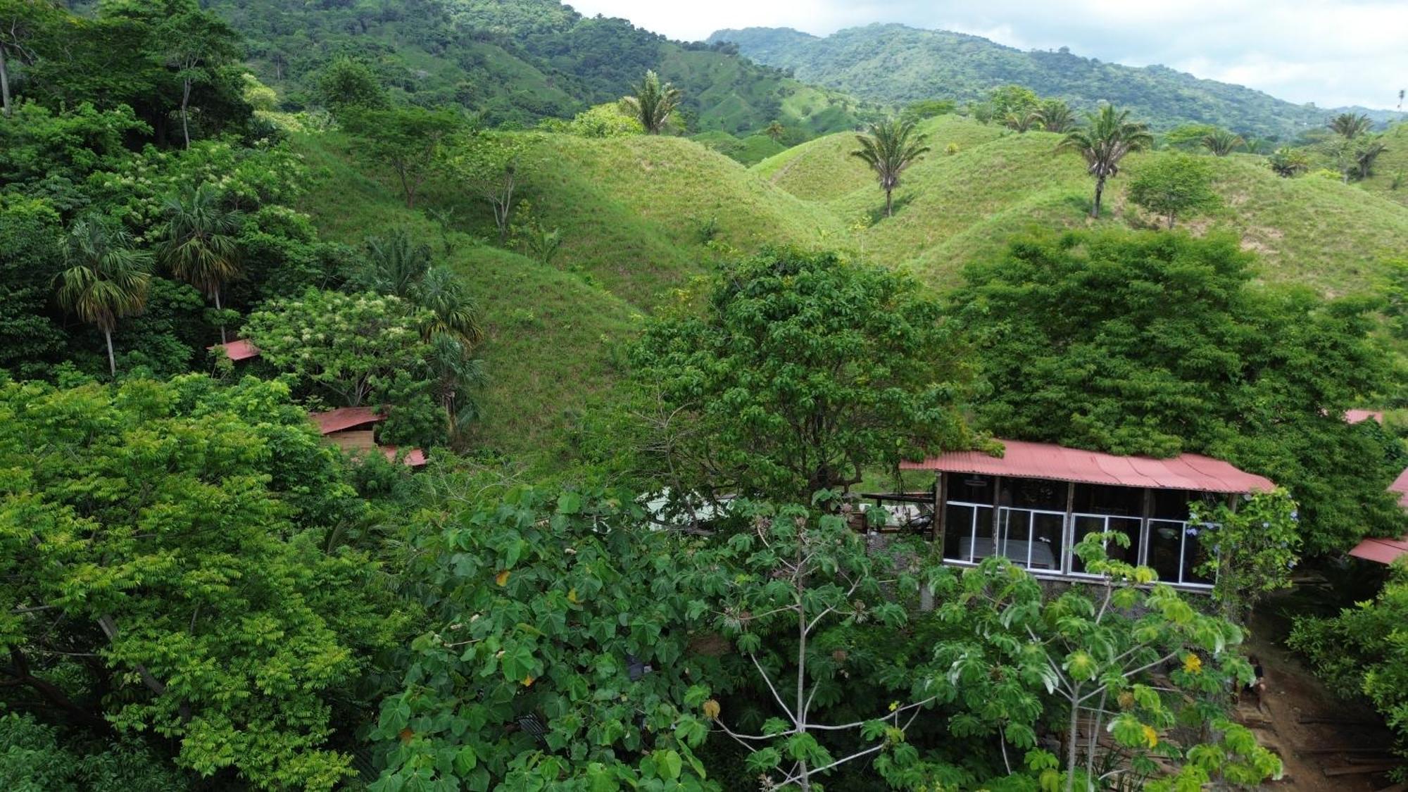 The Valley Tayrona Hostel- A Social Jungle Hostel El Zaino Exteriör bild