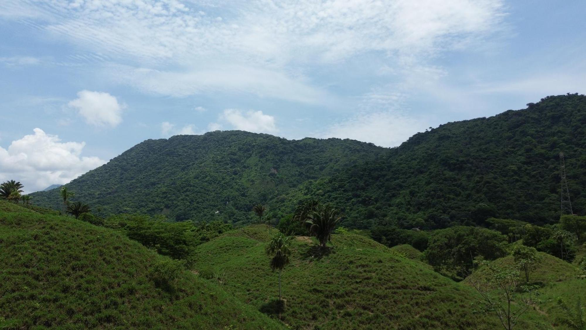 The Valley Tayrona Hostel- A Social Jungle Hostel El Zaino Exteriör bild
