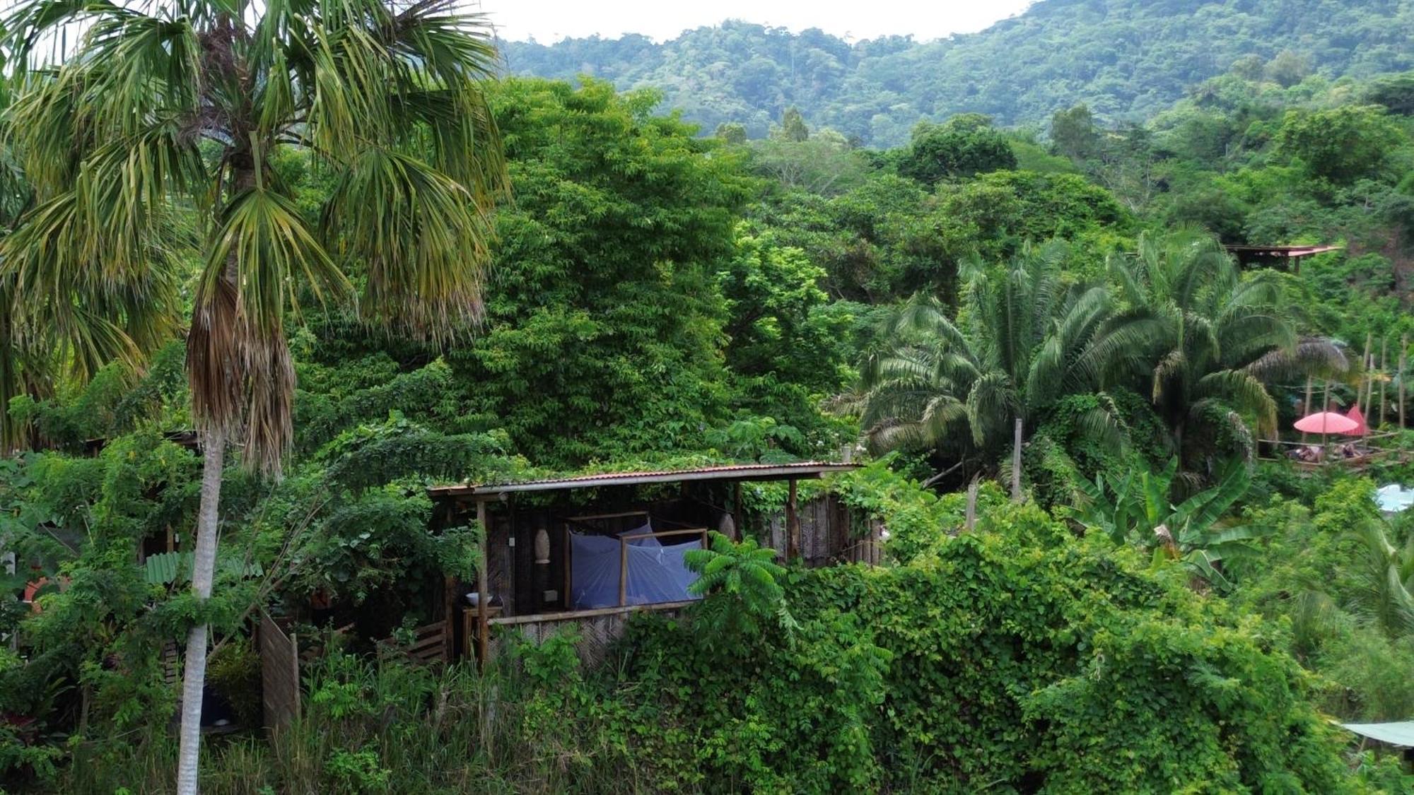 The Valley Tayrona Hostel- A Social Jungle Hostel El Zaino Exteriör bild
