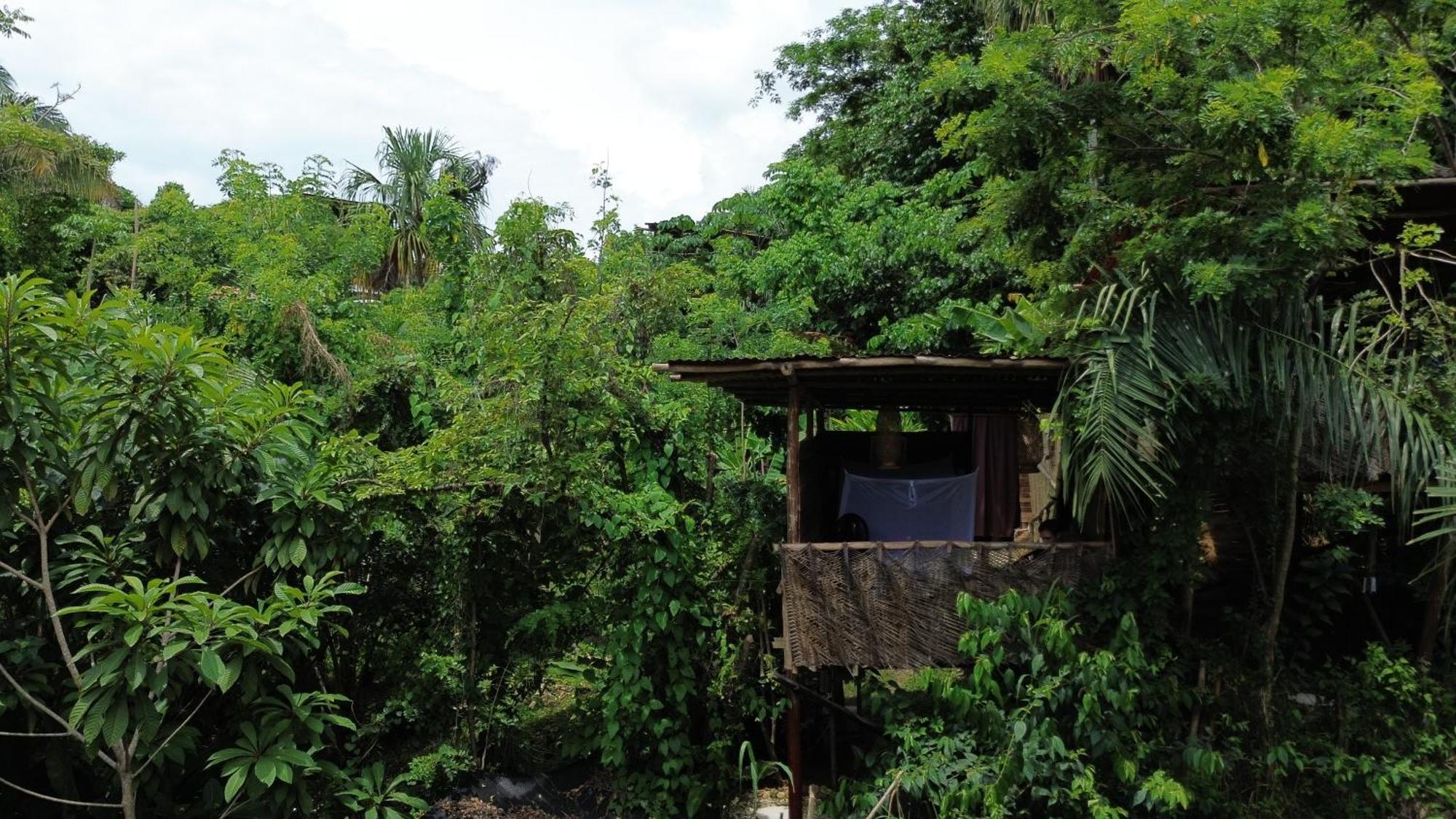 The Valley Tayrona Hostel- A Social Jungle Hostel El Zaino Exteriör bild