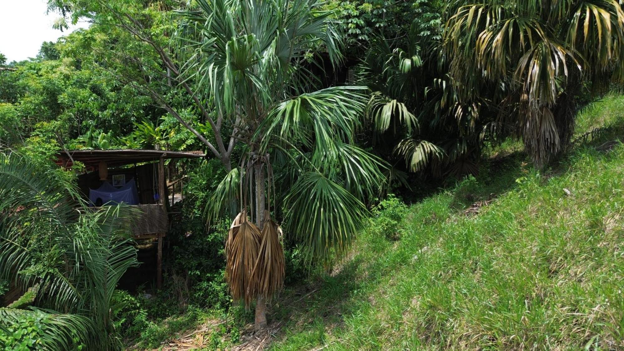 The Valley Tayrona Hostel- A Social Jungle Hostel El Zaino Exteriör bild