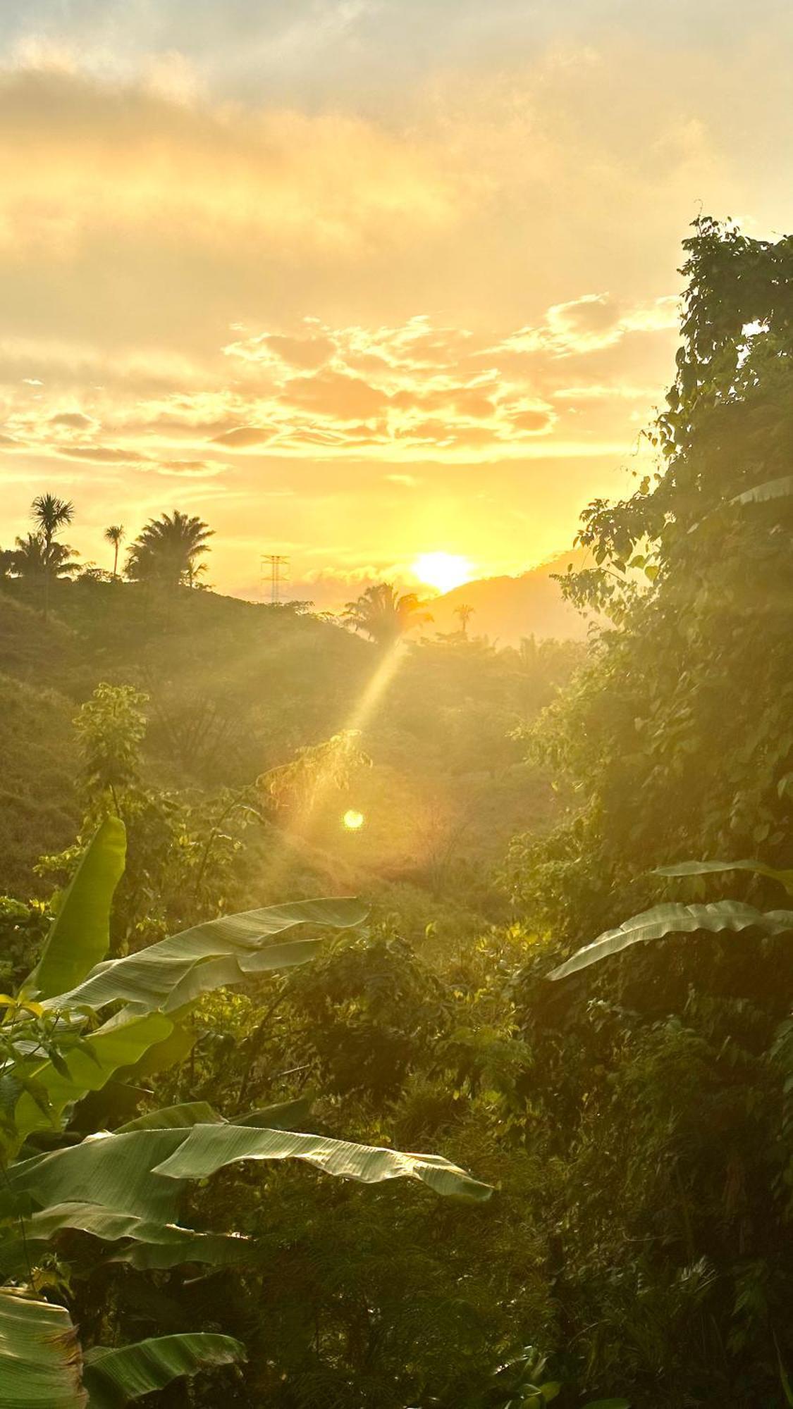 The Valley Tayrona Hostel- A Social Jungle Hostel El Zaino Exteriör bild
