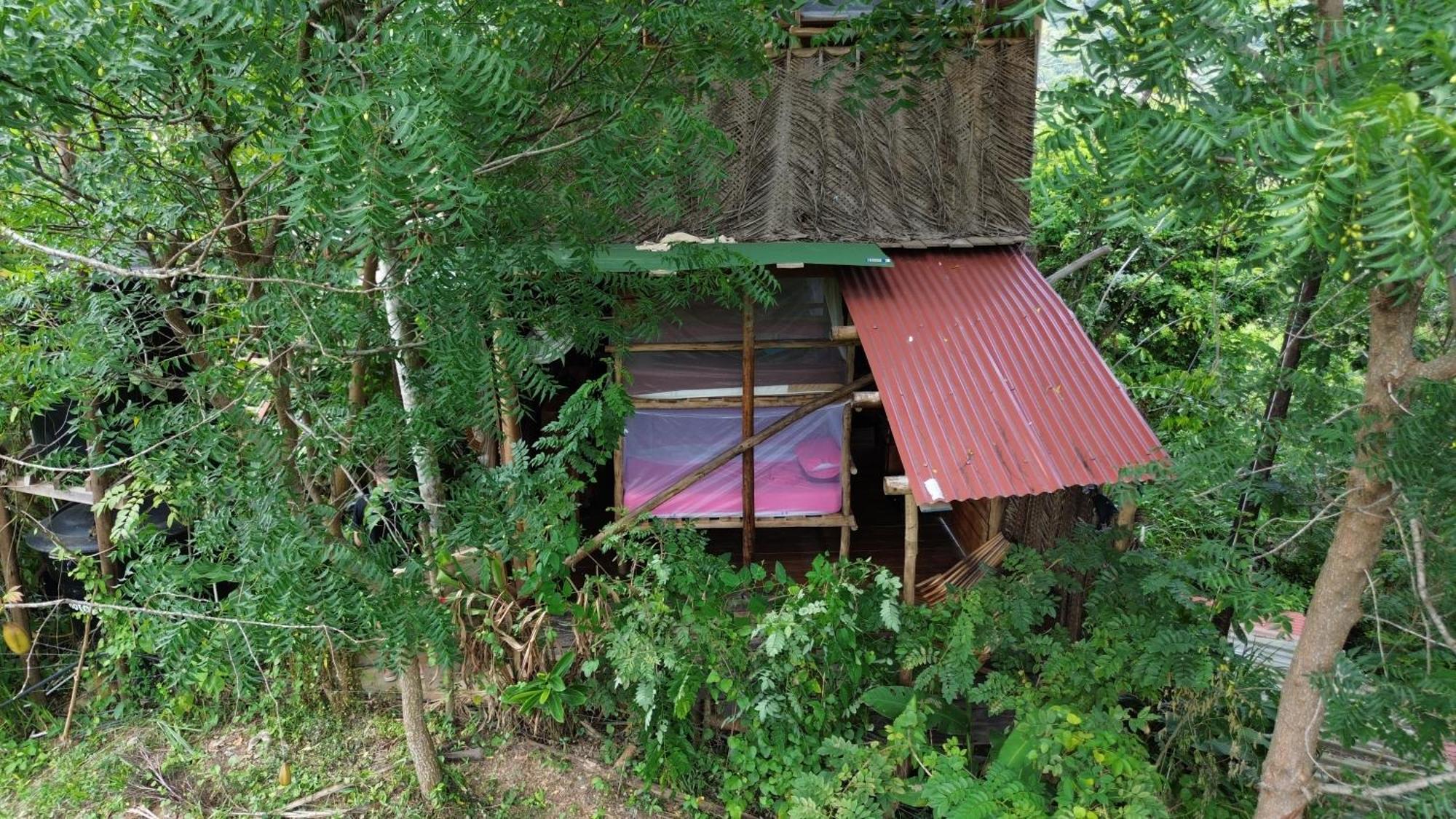 The Valley Tayrona Hostel- A Social Jungle Hostel El Zaino Exteriör bild
