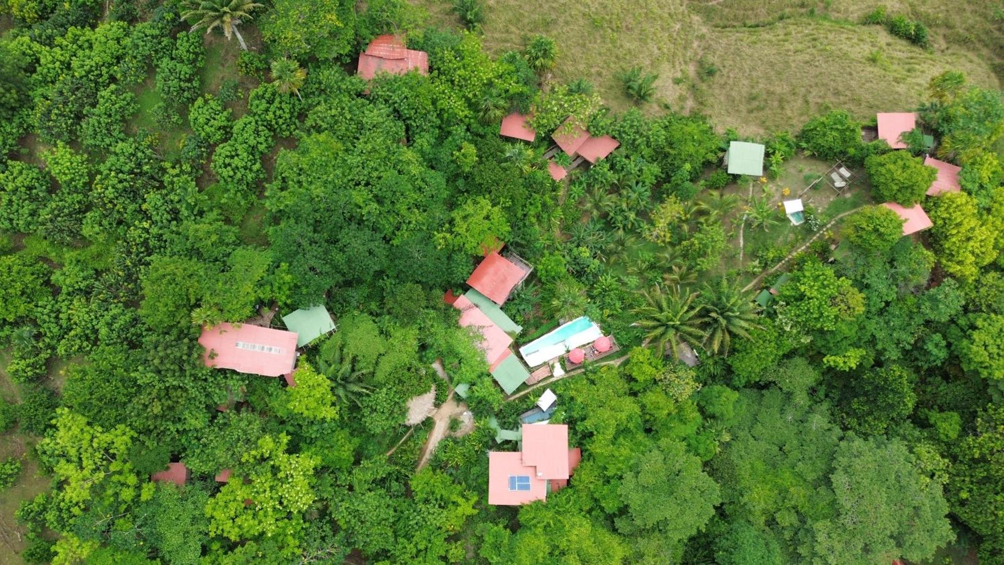The Valley Tayrona Hostel- A Social Jungle Hostel El Zaino Exteriör bild