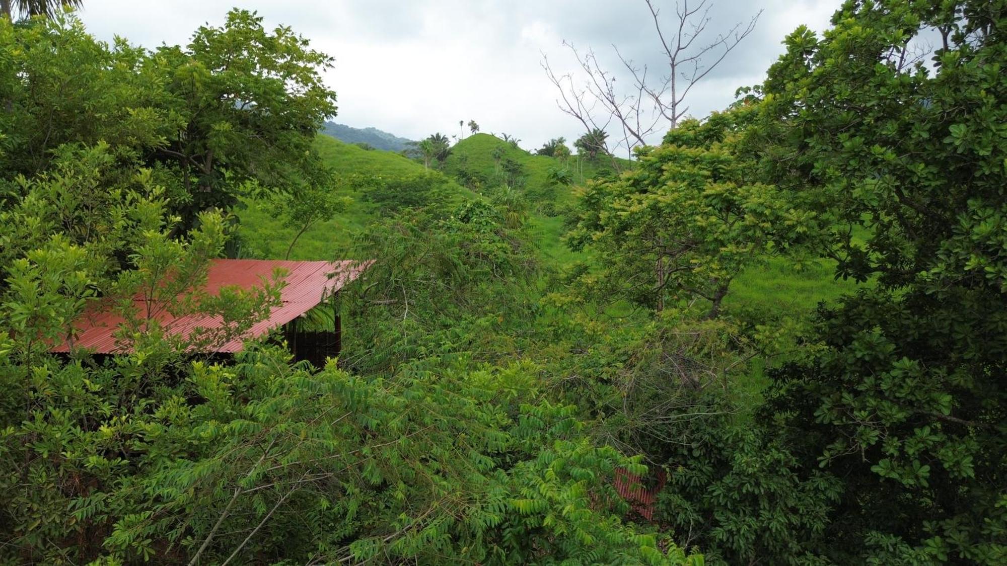The Valley Tayrona Hostel- A Social Jungle Hostel El Zaino Exteriör bild